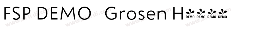 FSP DEMO   Grosen H字体转换